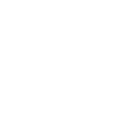 Bullhorn Icon
